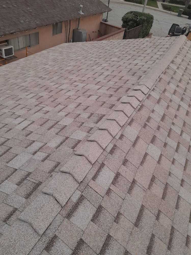 new shingles